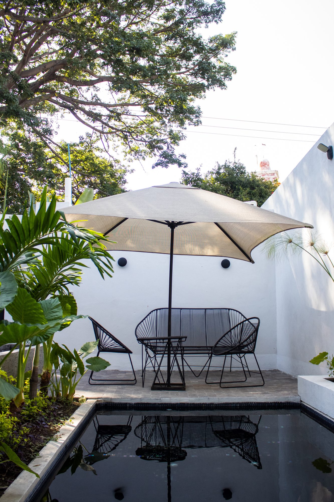 Casa Eladia — pool